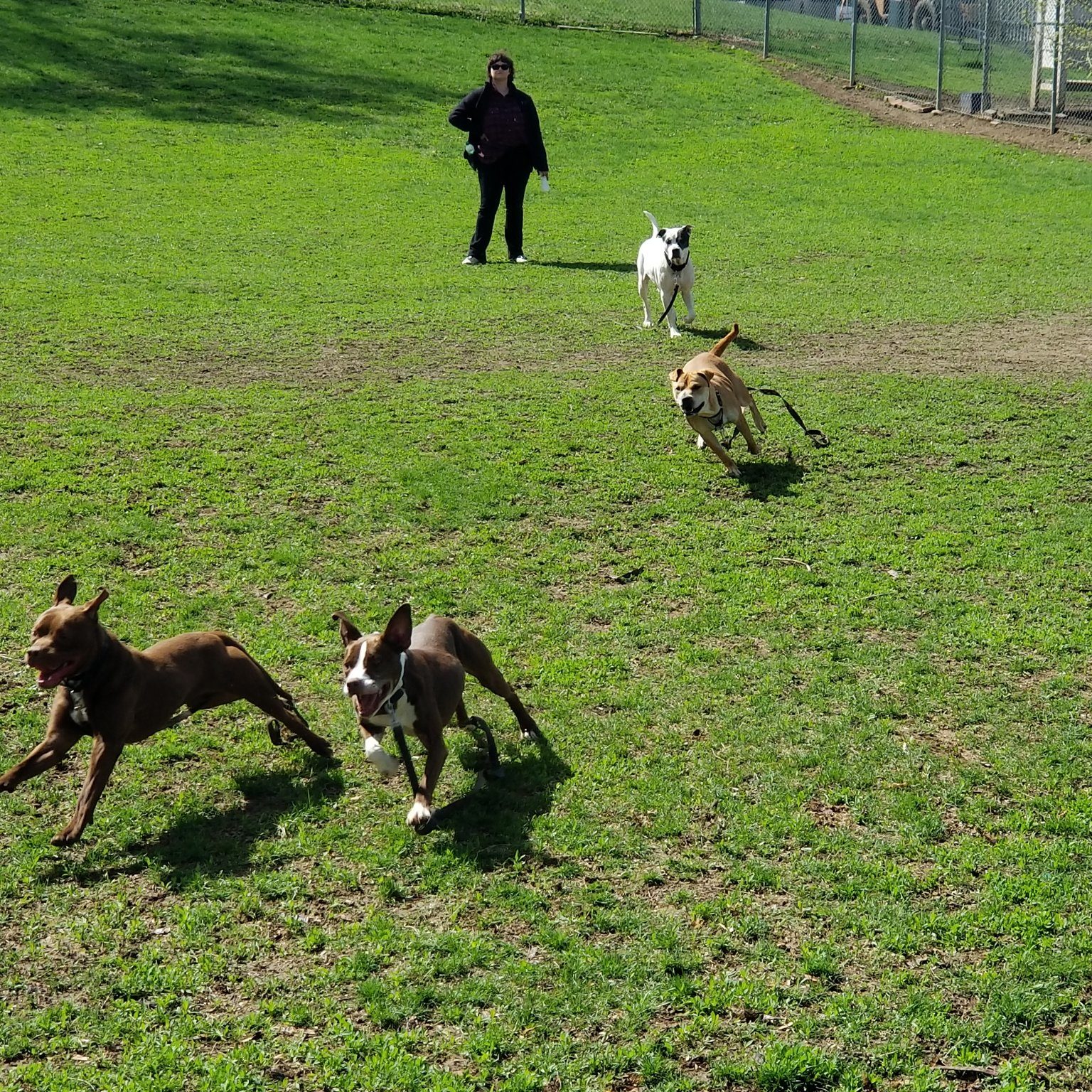 485152364 1073525091481113 5963552525967094746 N