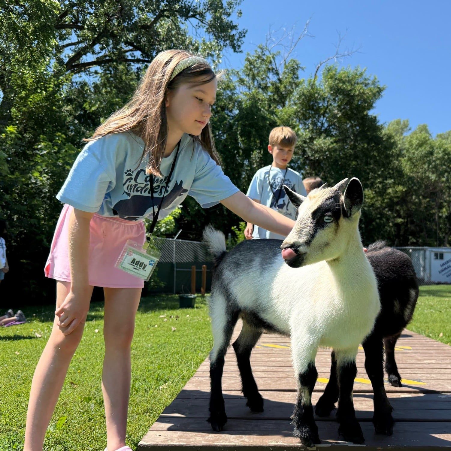 512783903 1157135299786758 2331691634856200866 N