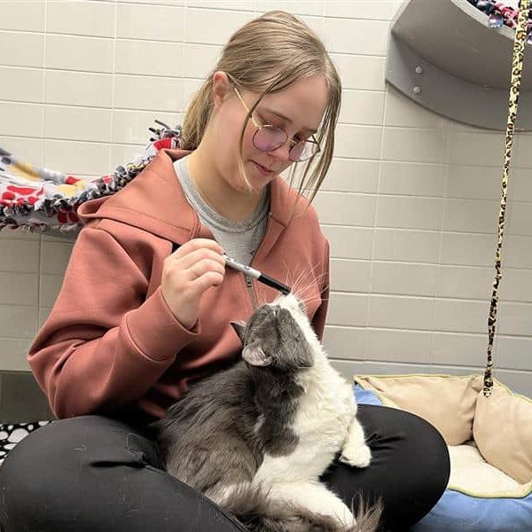 515437593 1161047302728891 5495217721593538924 N