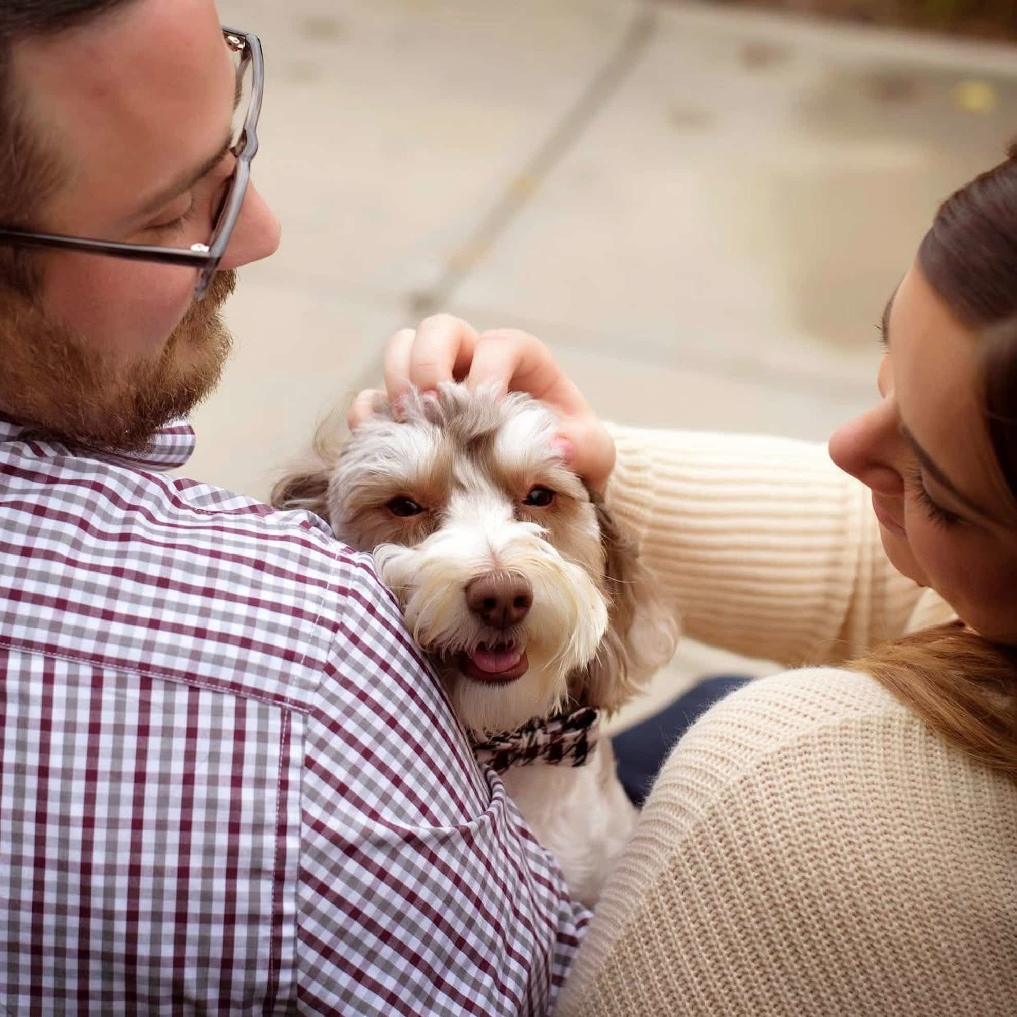 515600431 1161107612722860 6640170312492984990 N