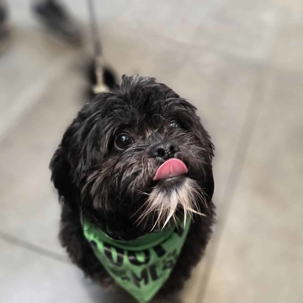 524146964 1181357594031195 1615582002752130154 N