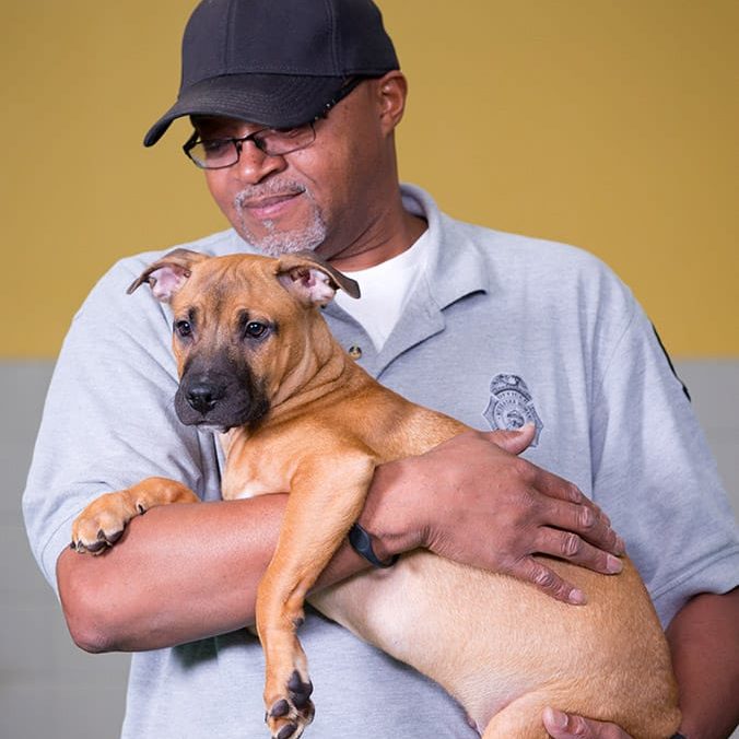 Animal control officer holding a puppy