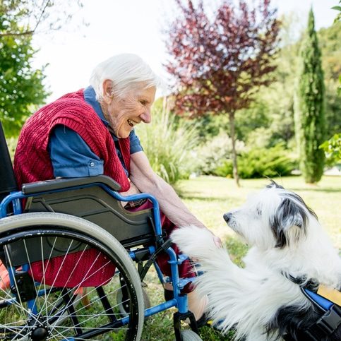 Senior Woman Playing With Pet Dog Outdoors