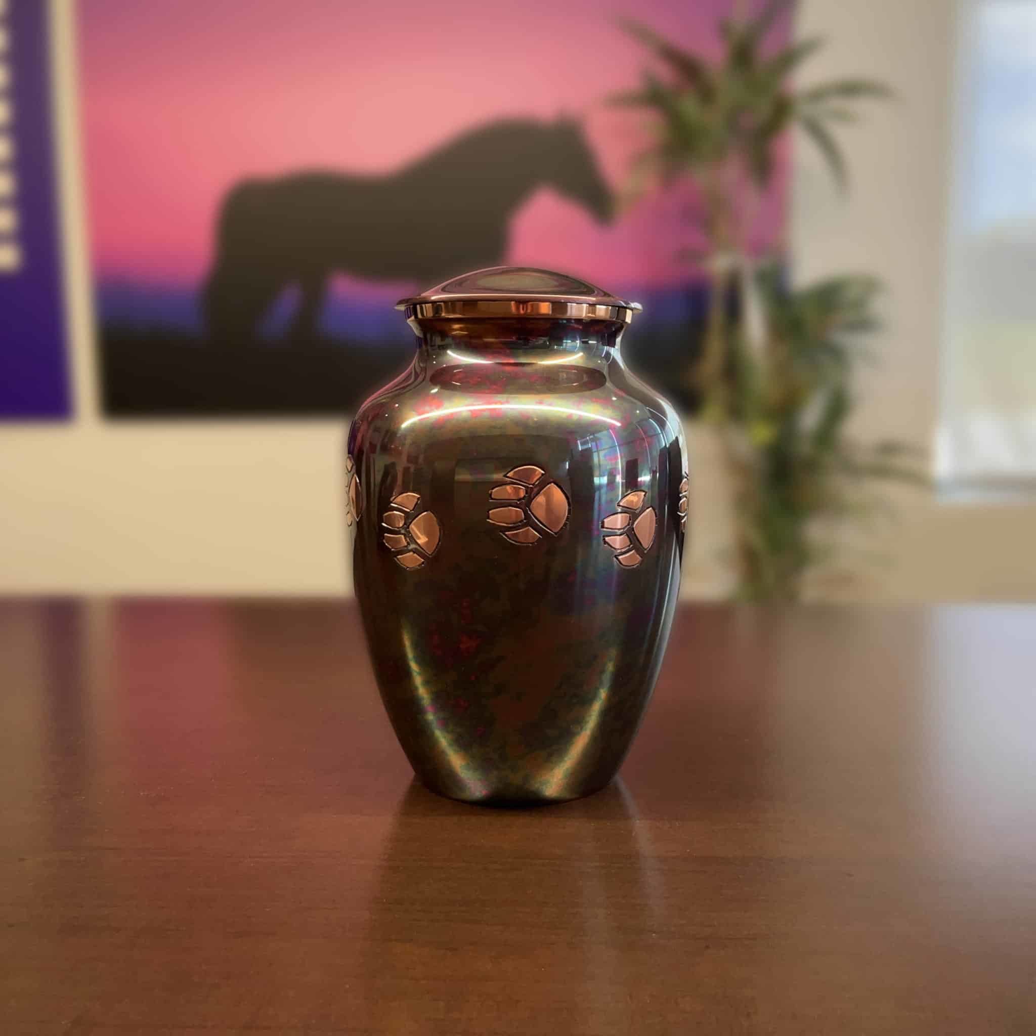 An urn used for pet cremations.