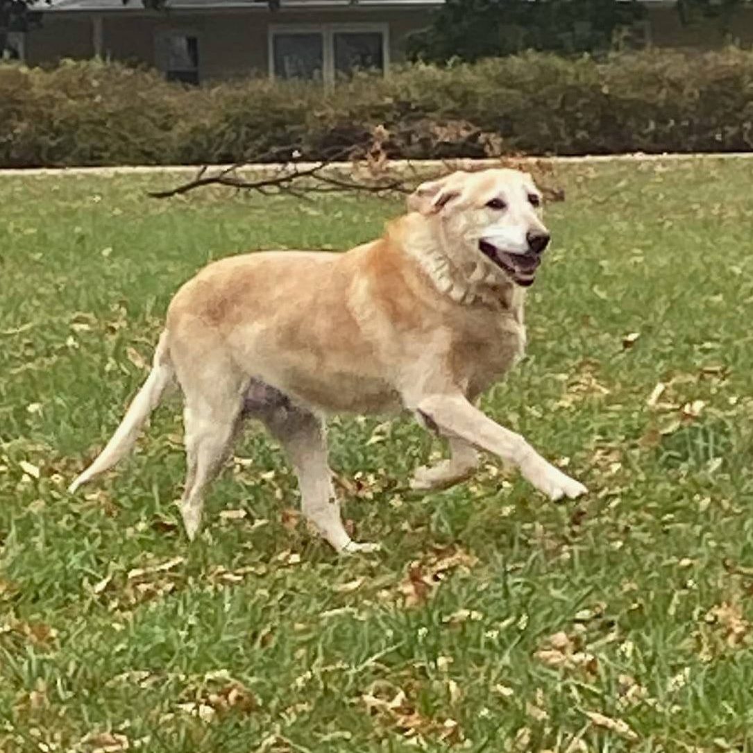 Wrigley on her last day