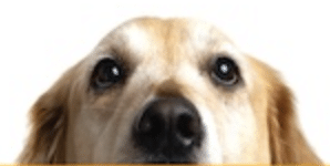 Screenshot 2025 07 22 At 12.28.42 PM