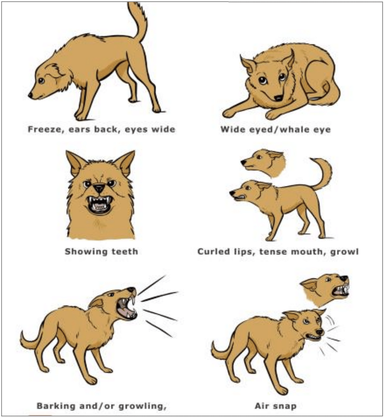 Screenshot 2025 09 17 At 10.46.25 PM