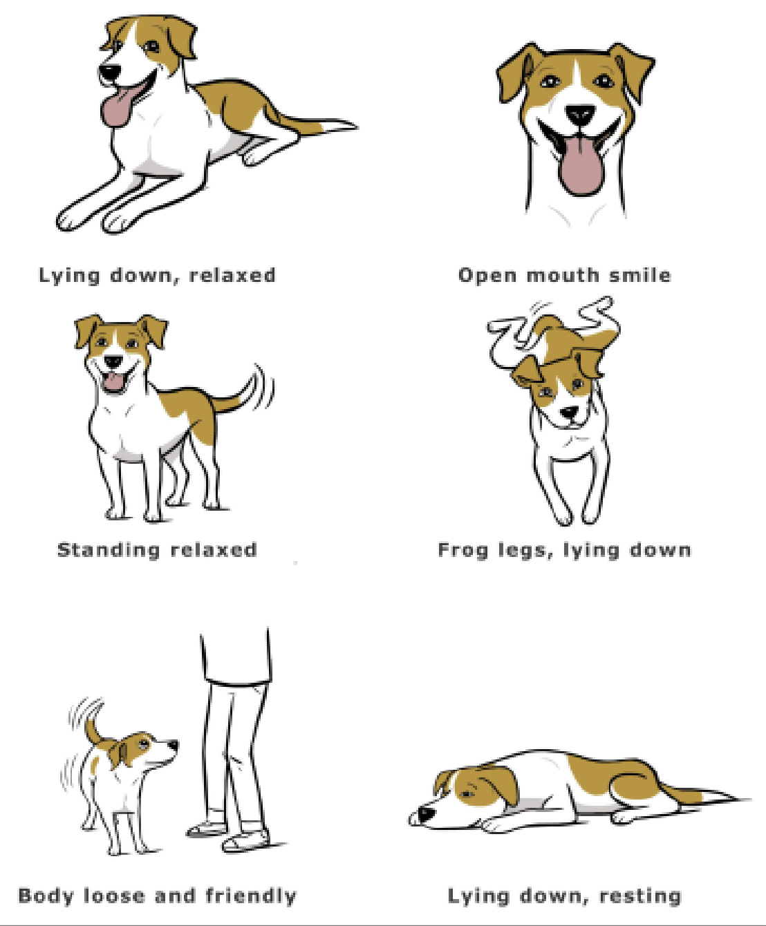 Screenshot 2025 09 17 At 10.46.36 PM