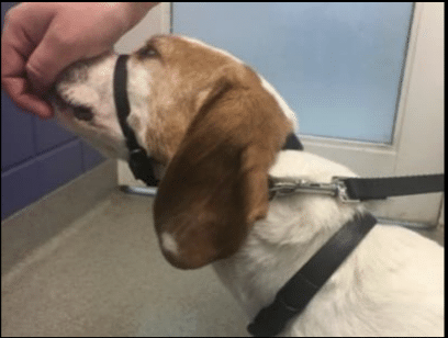 Screenshot 2025 09 17 At 6.42.17 PM