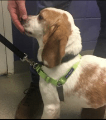 Screenshot 2025 09 17 At 6.42.31 PM