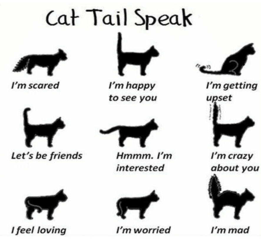 Screenshot 2025 09 18 At 5.22.21 PM