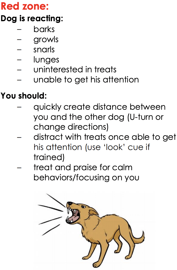 Screenshot 2025 09 18 At 9.28.06 AM