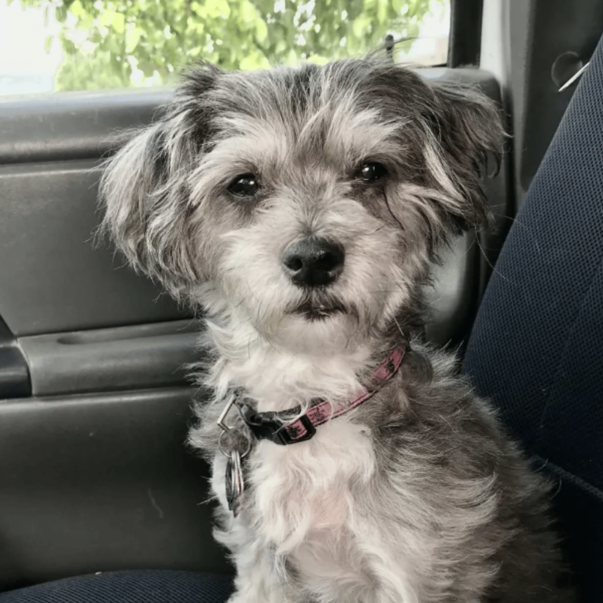 Screenshot 2025 10 03 At 3.02.19 PM