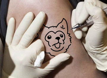 An arm with someone getting a tattoo of Minerva the chihuahua