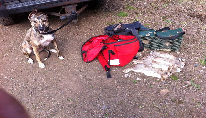 Rabbit Control West Lothian Rabbit Control Lothians Rabbit Control UK